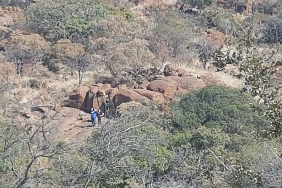 68-Hectare Agricultural Gem – Madibeng - Photo 4