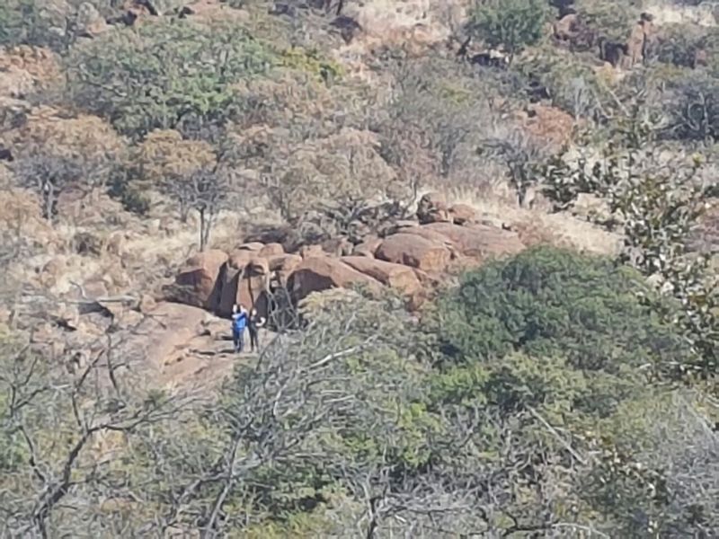 68-Hectare Agricultural Gem – Madibeng - Photo 4