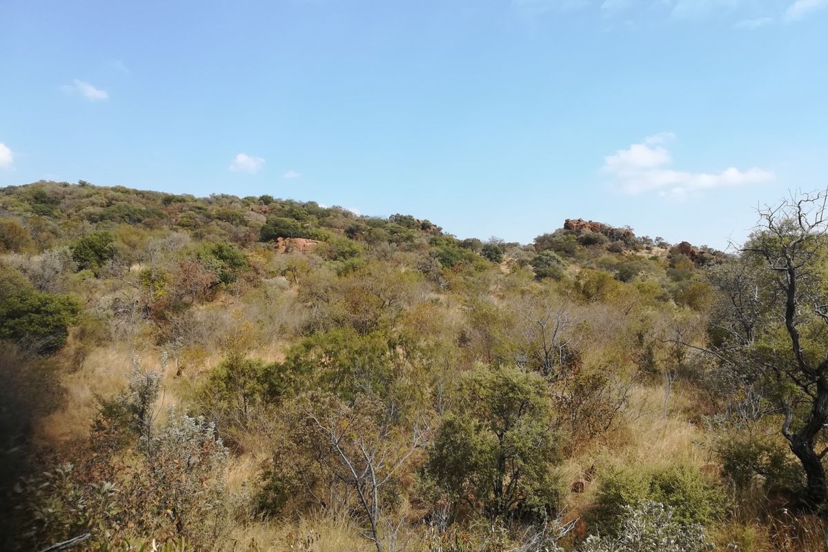68-Hectare Agricultural Gem – Madibeng - Photo 5