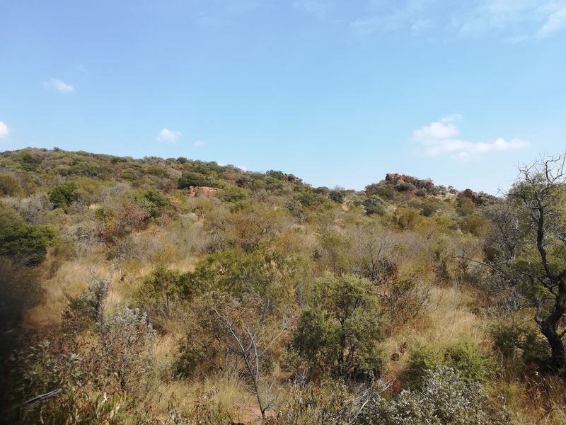 68-Hectare Agricultural Gem – Madibeng - Photo 5