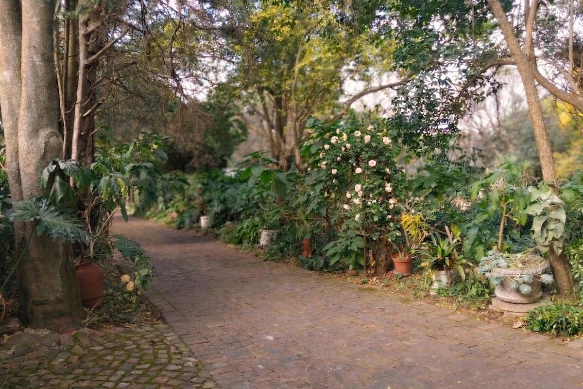 1 Bedroom Garden Cottage To Let in Hurlingham, Sandton - Photo 2