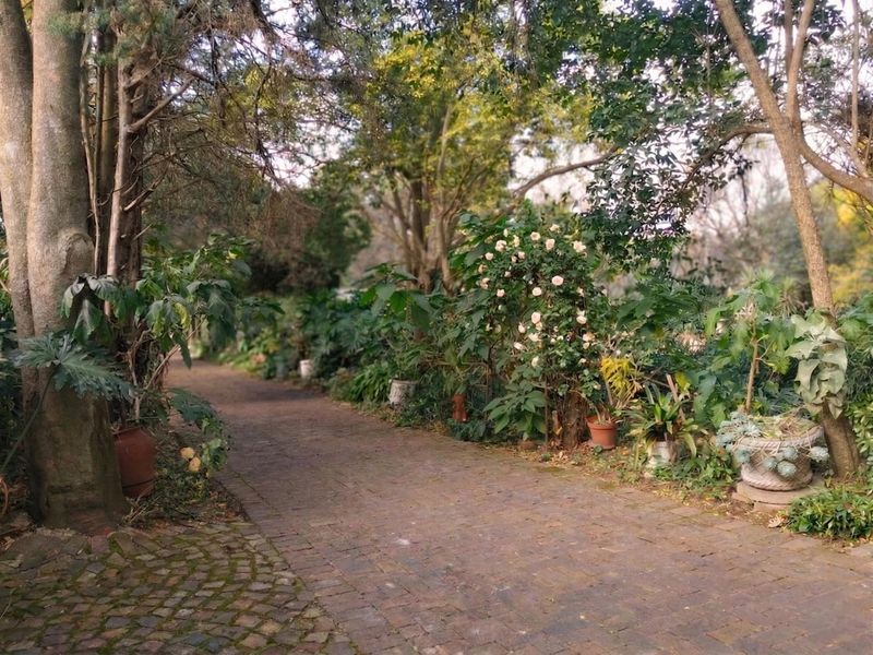 1 Bedroom Garden Cottage To Let in Hurlingham, Sandton - Photo 2