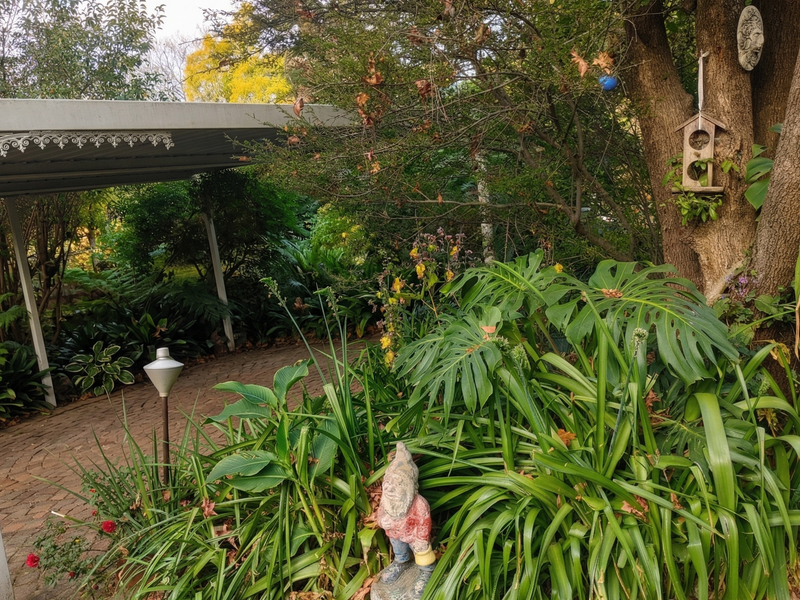 1 Bedroom Garden Cottage To Let in Hurlingham, Sandton - Photo 7