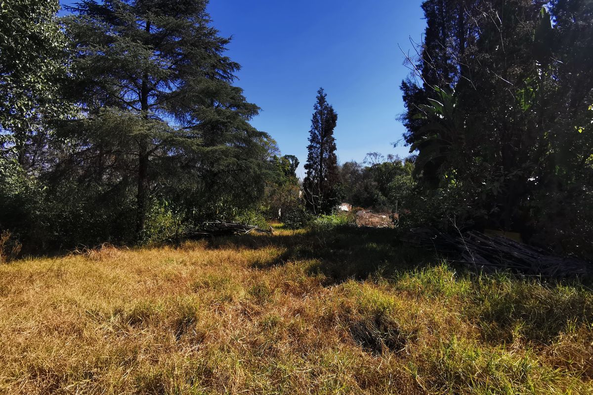 Prime 5,595m2 Residential 3 Development Site in Heart of Bryanston - Photo 4