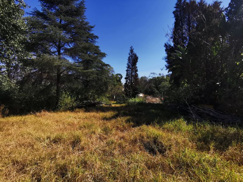 Prime 5,595m2 Residential 3 Development Site in Heart of Bryanston - Photo 4