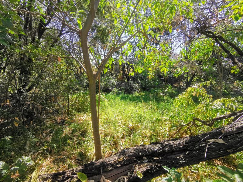 Prime 5,595m2 Residential 3 Development Site in Heart of Bryanston - Photo 10