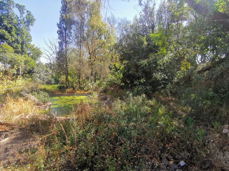 Prime 5,595m2 Residential 3 Development Site in Heart of Bryanston - Photo 8