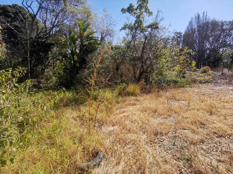 Prime 5,595m2 Residential 3 Development Site in Heart of Bryanston - Photo 6