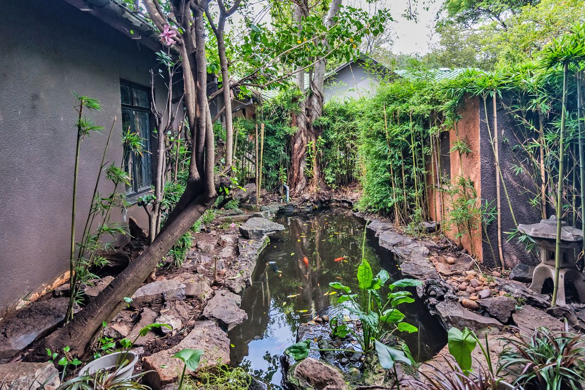 House, SPA, Restaurant and B&B Selling as a Property right next to Lion Park - Photo 5