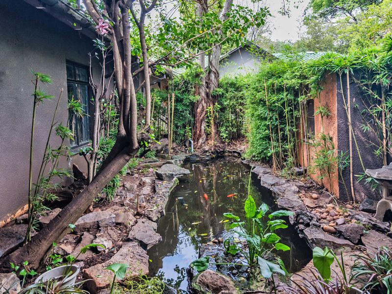 House, SPA, Restaurant and B&B Selling as a Property right next to Lion Park - Photo 5