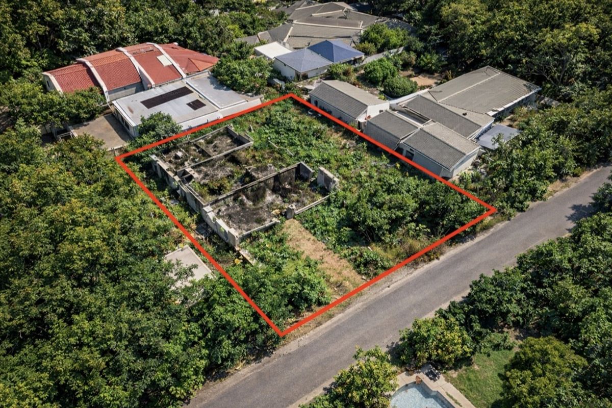 Aerial view of a vacant residential plot featuring the remains of a fire-damaged structure, surrounded by dense vegetation in a suburban setting.