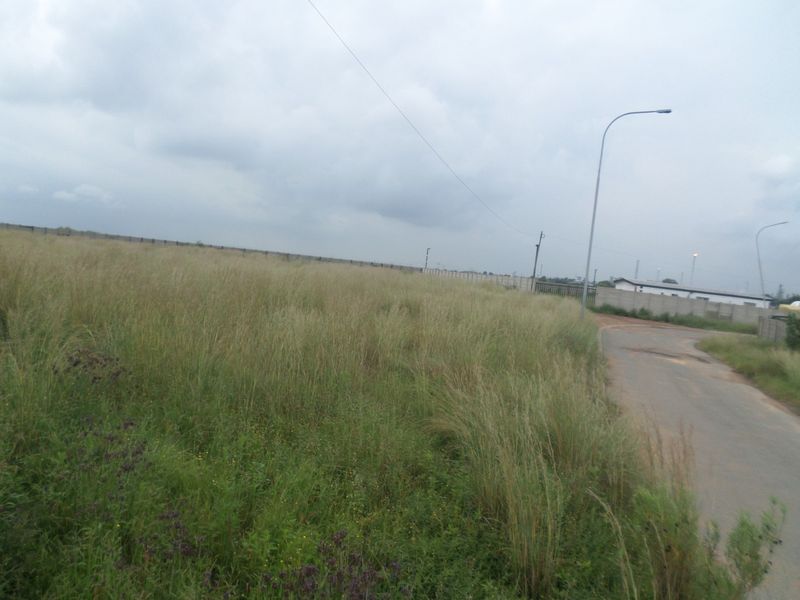 A view of an undeveloped industrial plot featuring a paved access road, perimeter wall, and street lighting.