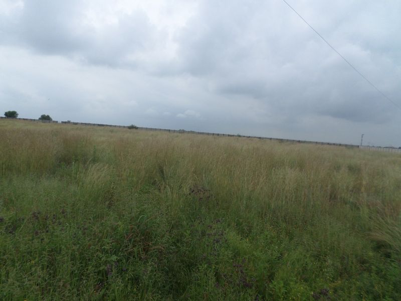 A large, undeveloped industrial land parcel featuring overgrown vegetation and perimeter fencing under an overcast sky.