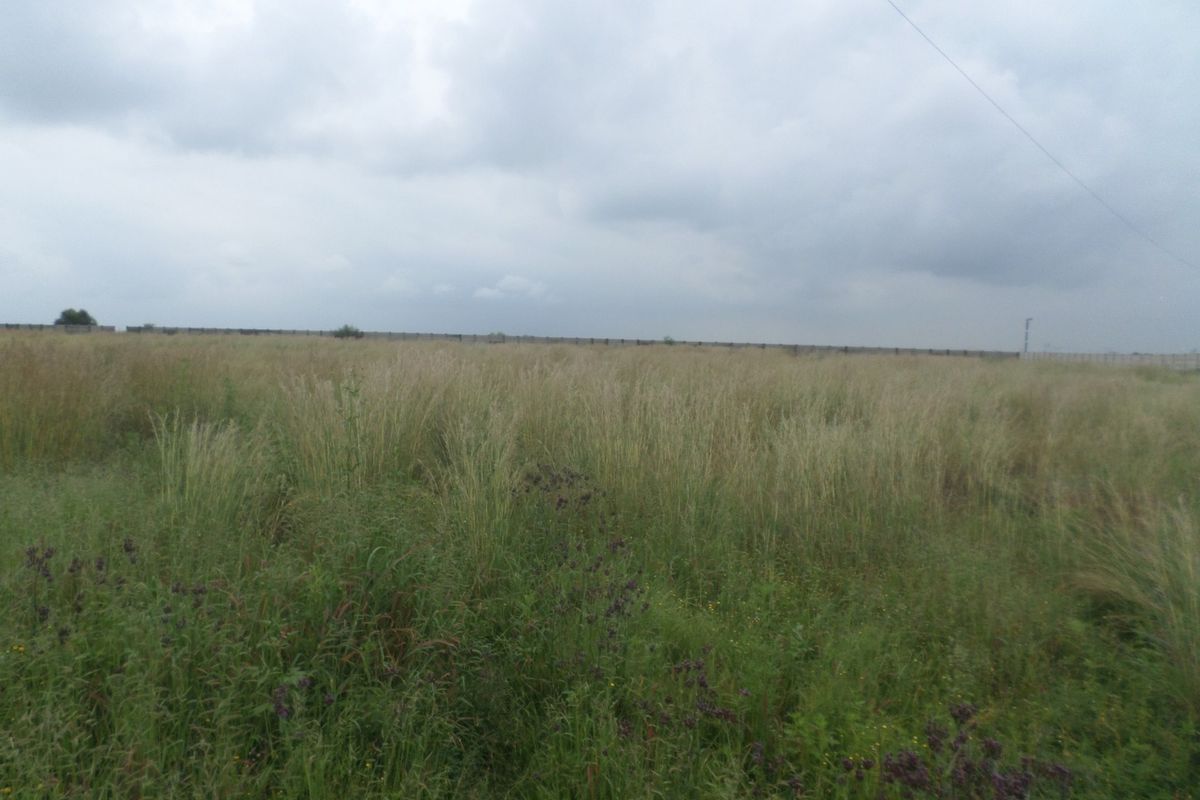 A large, undeveloped industrial land plot featuring overgrown grass and perimeter fencing under an overcast sky.