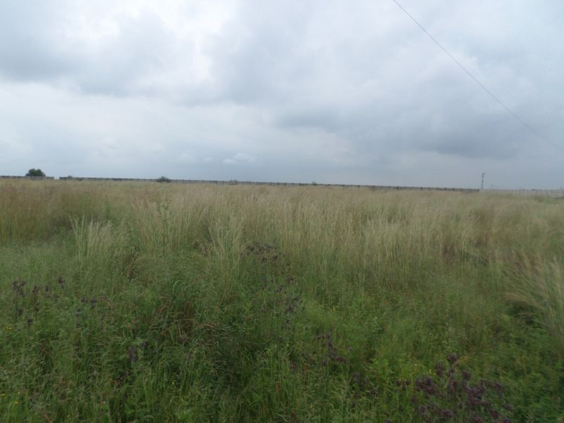 A large, undeveloped industrial land plot featuring overgrown grass and perimeter fencing under an overcast sky.