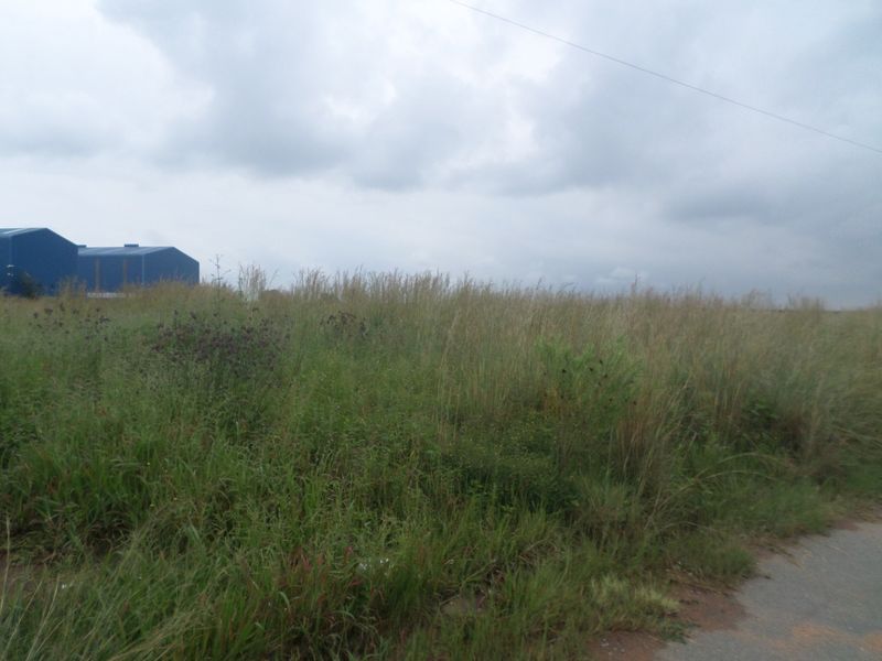 An expansive, undeveloped industrial plot featuring tall grass and a distant blue industrial shed structure under an overcast sky.