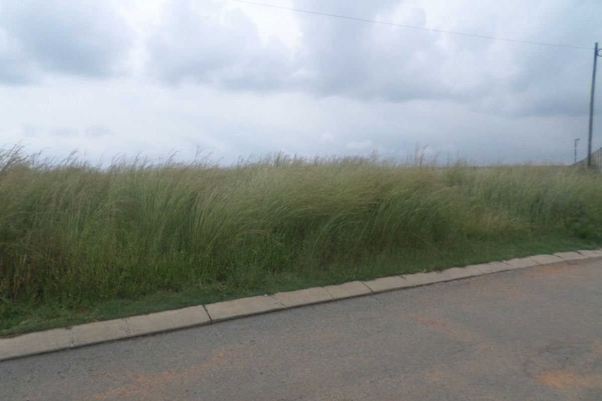 A view of an asphalt road with concrete kerbing bordering an undeveloped grassy plot under an overcast sky.