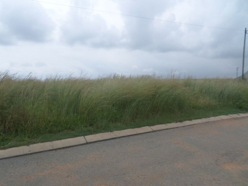 A view of an asphalt road with concrete kerbing bordering an undeveloped grassy plot under an overcast sky.