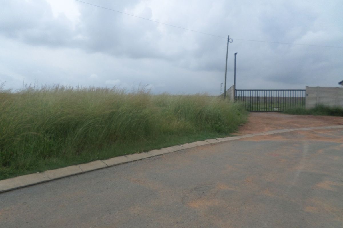 View of the property entrance featuring a metal security gate, asphalt road access, and concrete kerbing with surrounding overgrown vegetation.