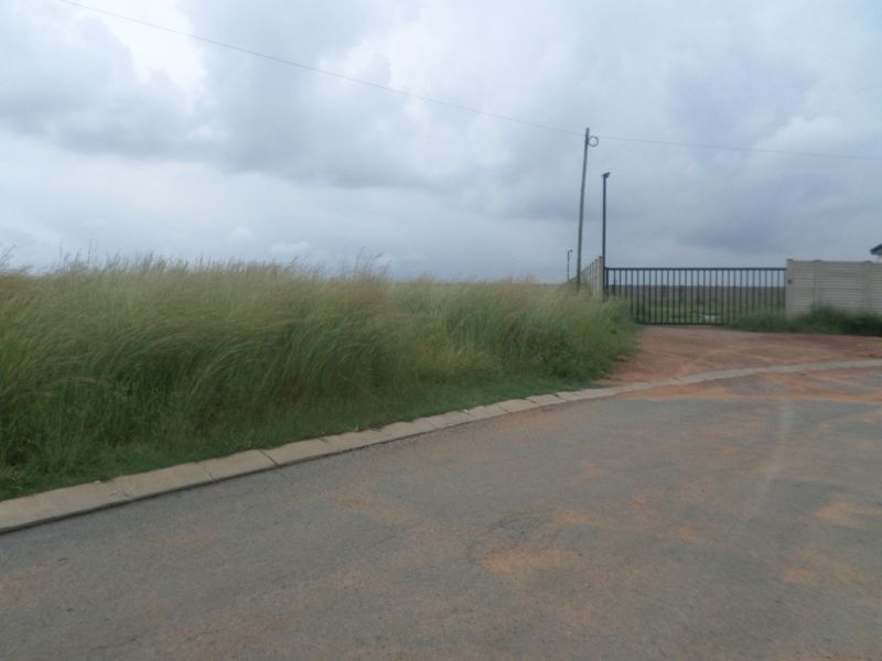 View of the property entrance featuring a metal security gate, asphalt road access, and concrete kerbing with surrounding overgrown vegetation.