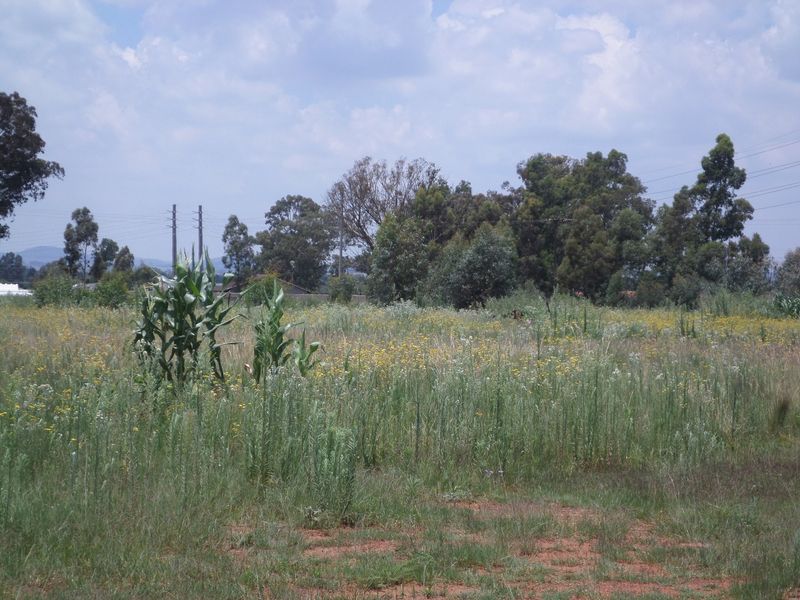 A view of a vacant commercial land plot featuring natural vegetation and overhead power lines.