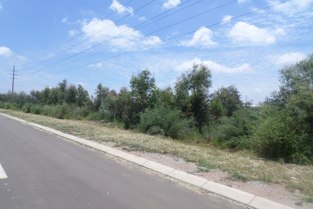 A view of the street frontage showing the asphalt road, concrete curbing, and adjacent undeveloped land with established vegetation.