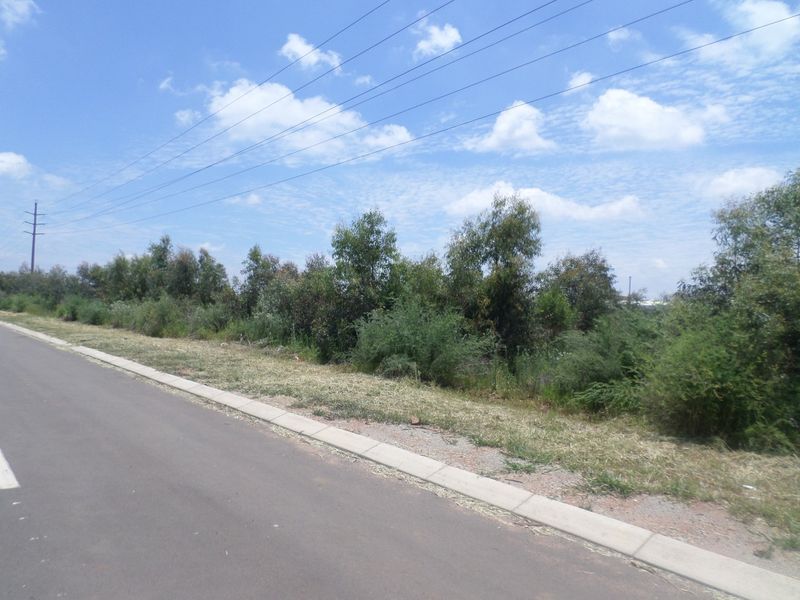 A view of the street frontage showing the asphalt road, concrete curbing, and adjacent undeveloped land with established vegetation.