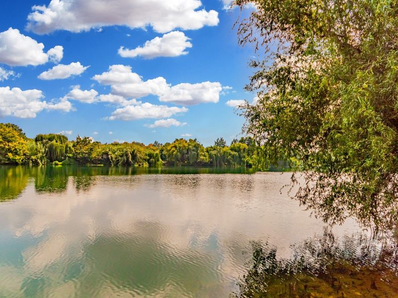 A scenic view of a tranquil lake surrounded by lush mature trees under a bright blue sky.