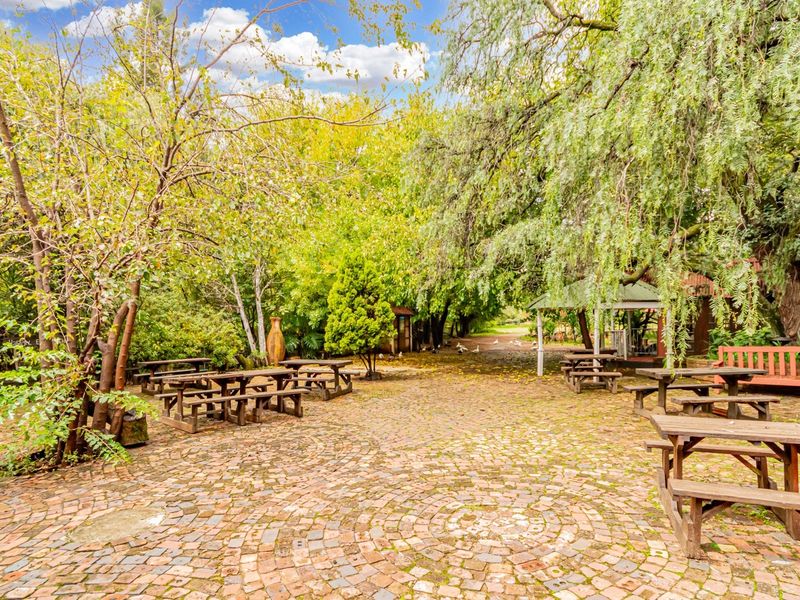 A tranquil outdoor garden area featuring mature trees, established landscaping, and a cobblestone paved courtyard with a covered gazebo structure.