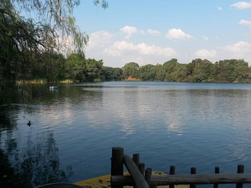 A scenic view of a tranquil lake surrounded by lush greenery, featuring a rustic wooden railing in the foreground.