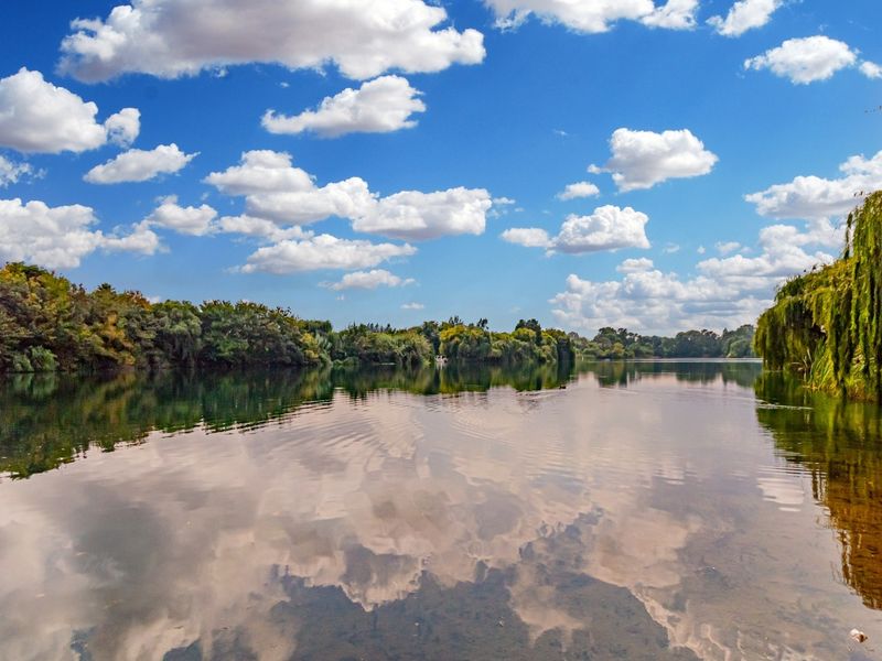 A scenic view of a tranquil lake surrounded by lush greenery and trees under a bright blue sky with scattered clouds.