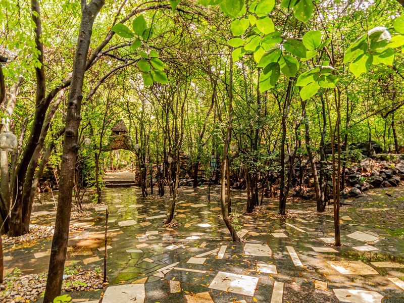 A lush, shaded garden area featuring mature trees, stone-paved pathways, and a decorative stone archway, creating a serene outdoor environment.