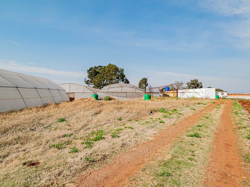 View of the small holding grounds featuring multiple greenhouse tunnels, water storage tanks, and a dirt access road through the property.
