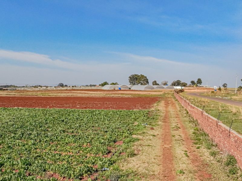 Expansive view of the small holding featuring cultivated agricultural land, a brick boundary wall with electric fencing, and distant agricultural tunnels.