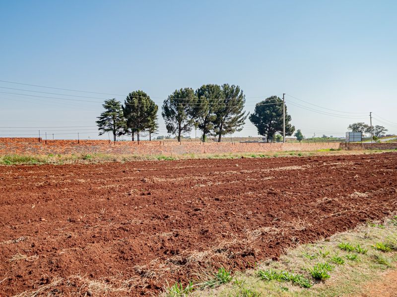 A large, open plot of land featuring red soil, enclosed by a brick boundary wall with electric fencing and mature trees in the background.