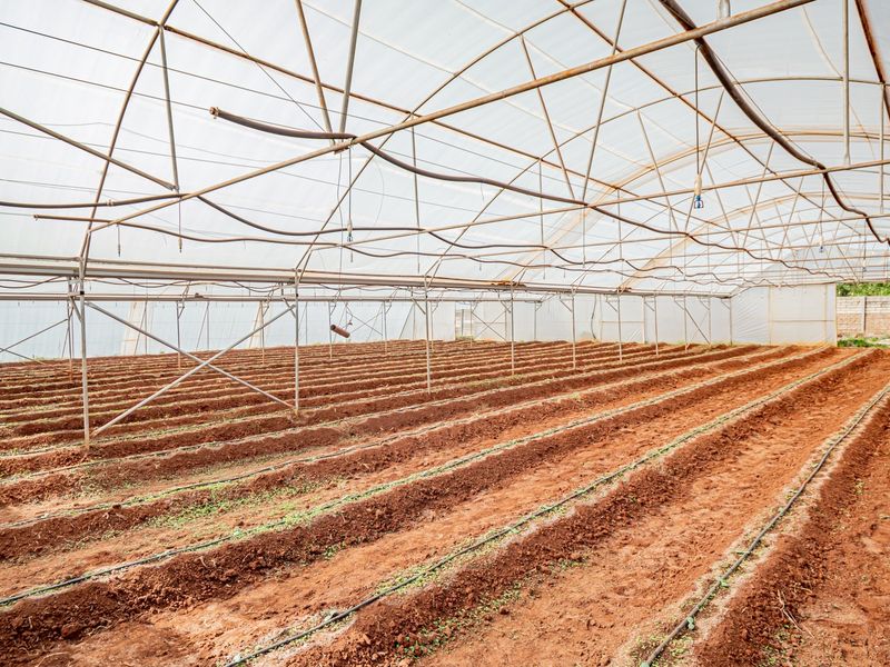 A large agricultural greenhouse structure featuring a metal frame, integrated irrigation system, and prepared soil beds for cultivation.