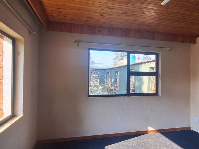 An empty bedroom featuring a timber ceiling, carpeted flooring, and large aluminium windows providing natural light and garden views.