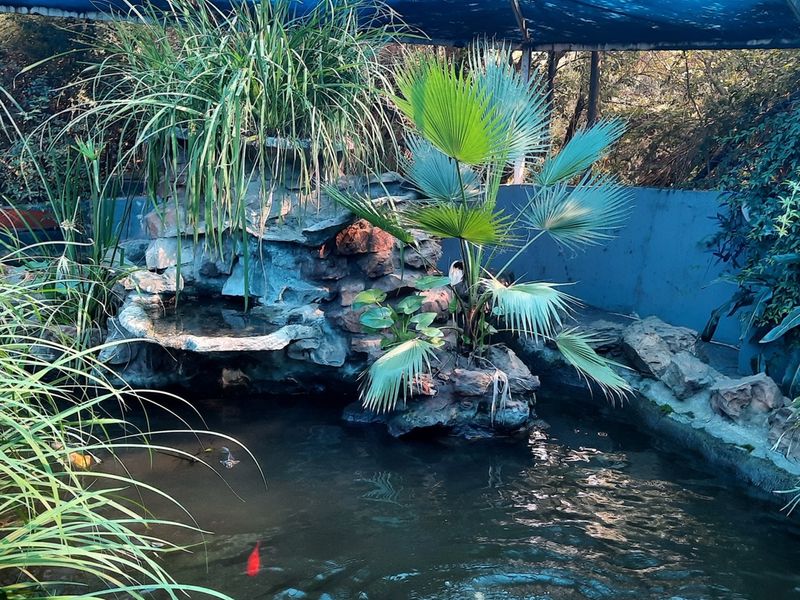 Small holding for the entertainer of small farmer - Photo 7