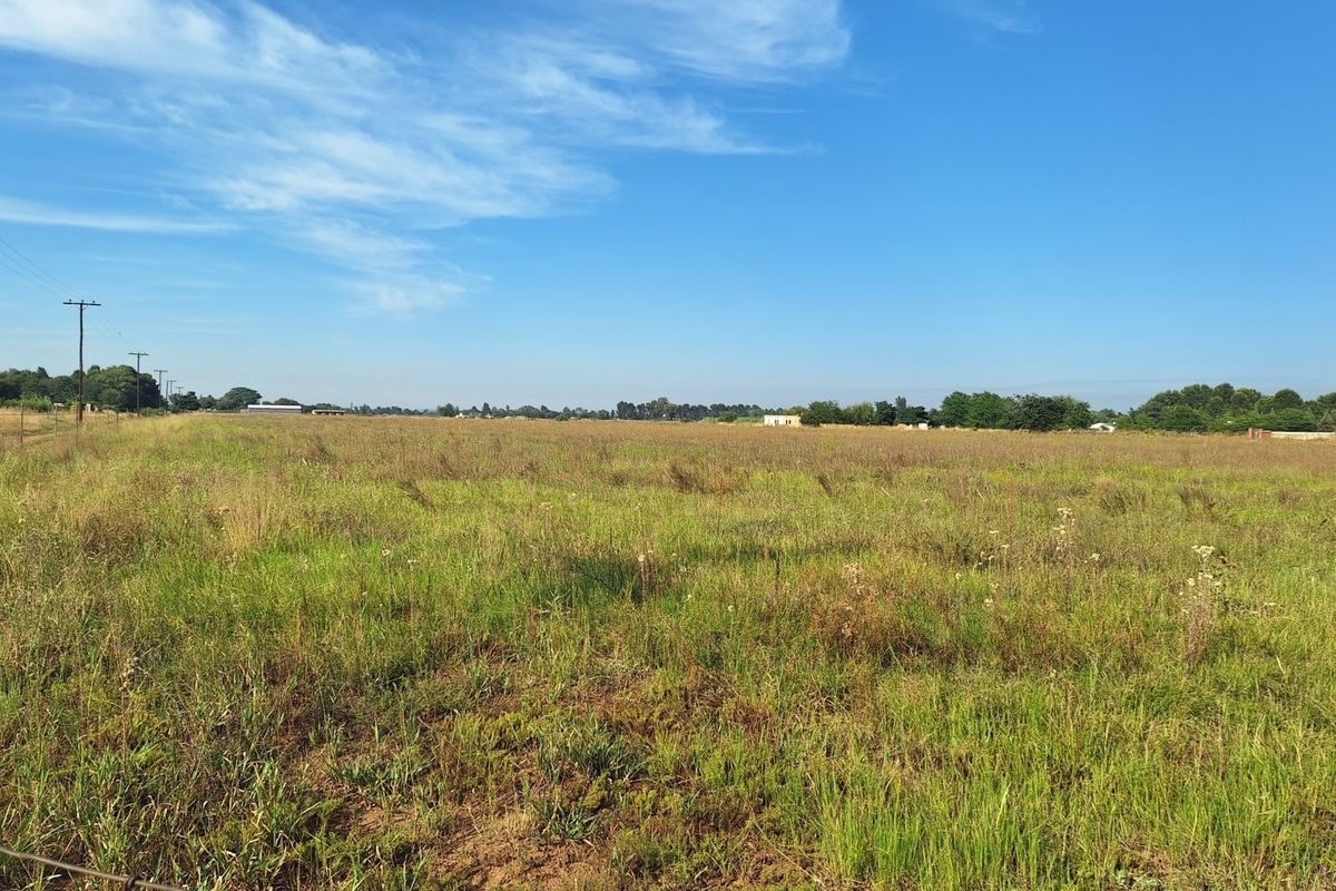 Vacant Land - beautiful land for planting - Photo 2