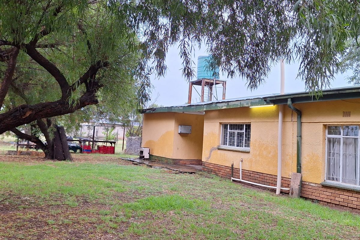 Small holding - with a huge store and 4 bedroom house - Photo 2