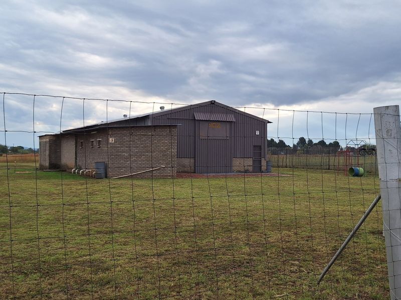 Small holding - with a huge store and 4 bedroom house - Photo 7