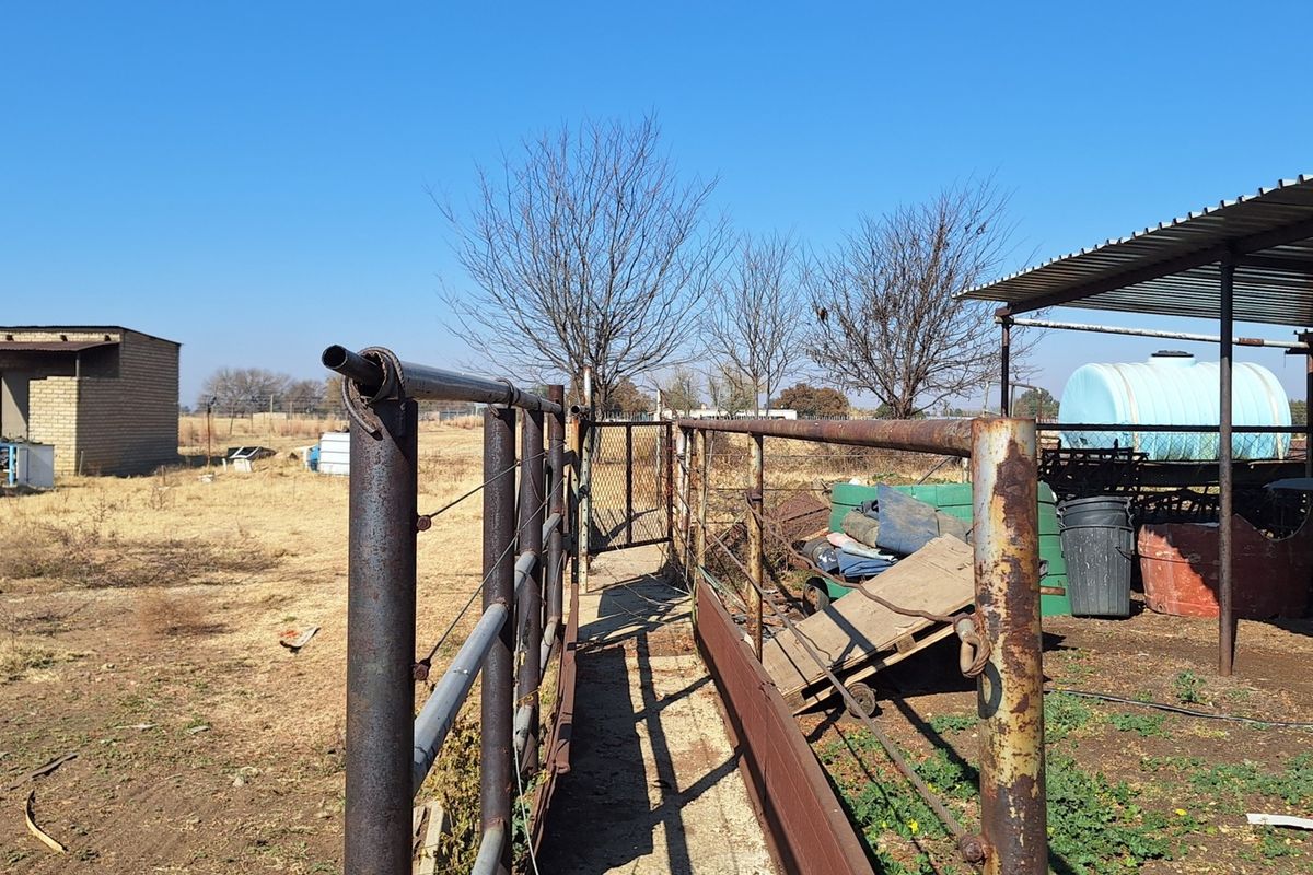 Small holding in the Vanderbijlpark area - for the big family - Photo 5