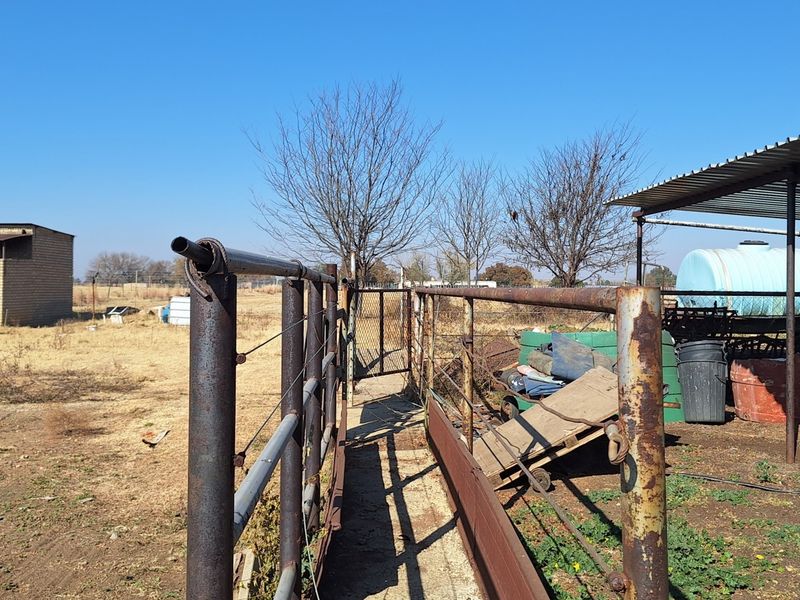 Small holding in the Vanderbijlpark area - for the big family - Photo 5