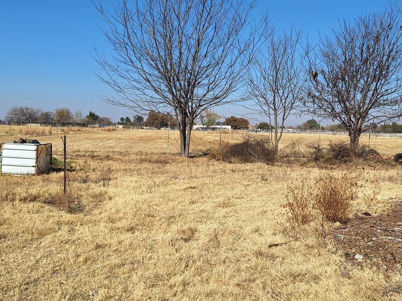Small holding in the Vanderbijlpark area - for the big family - Photo 8