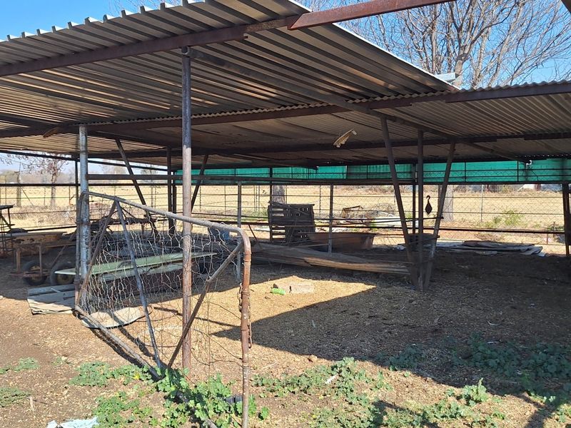 Small holding in the Vanderbijlpark area - for the big family - Photo 6