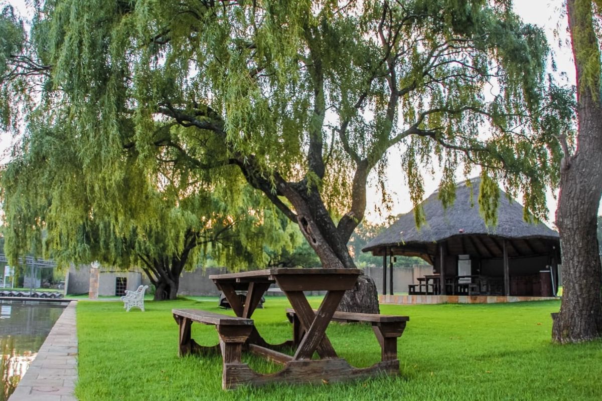 2 HA - Vaal River property in Vanderbijlpark area - Photo 5