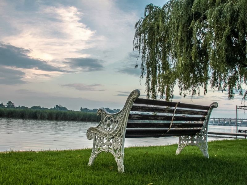 2 HA - Vaal River property in Vanderbijlpark area - Photo 8