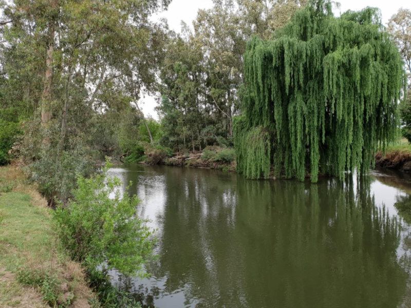 Prime Riverfront Land 21,00M2 for Development in Riversdale - Photo 2