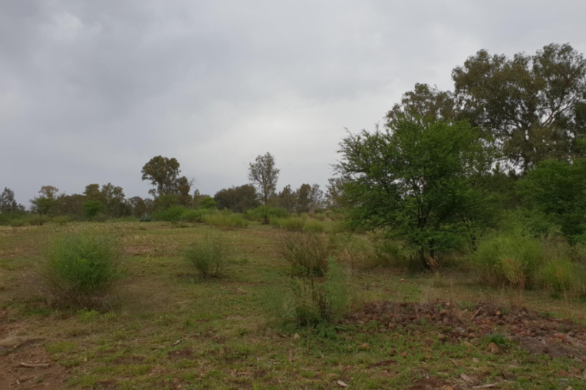 Prime Riverfront Land 21,00M2 for Development in Riversdale - Photo 4