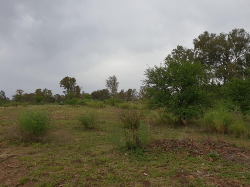 Prime Riverfront Land 21,00M2 for Development in Riversdale - Photo 4